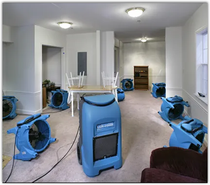 Commercial Water Damage Restoration in Northdale, FL