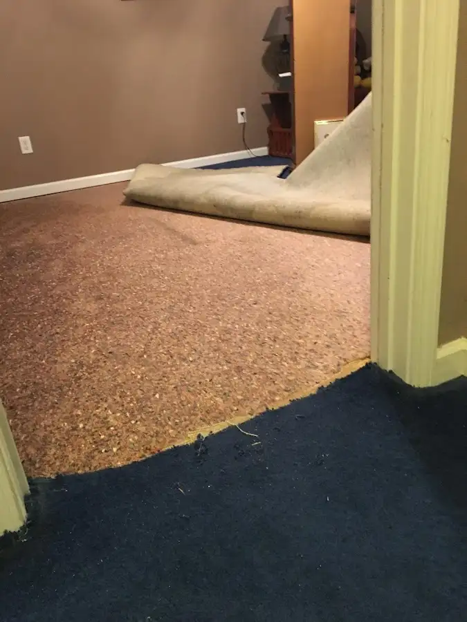Carpet pad removal revealing water damage during Water Mitigation Services in Northdale