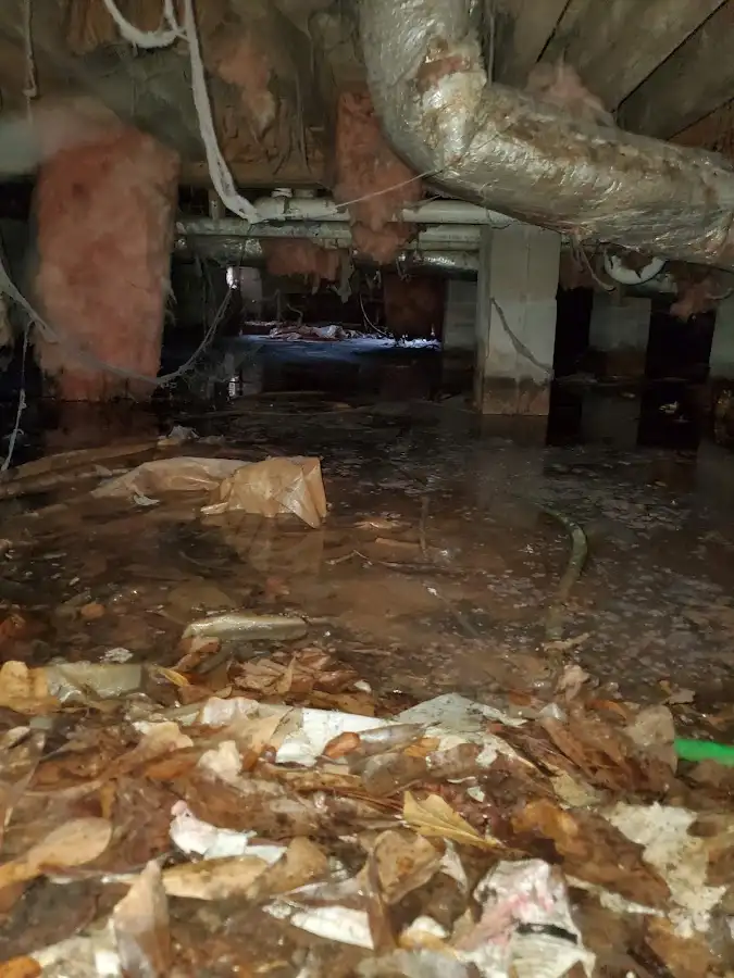 Crawl space flood assessment for Commercial Water Damage Restoration in Northdale