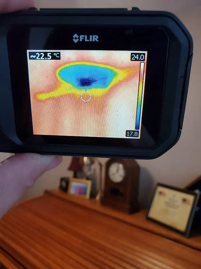 Thermal imaging inspection for water damage in Northdale